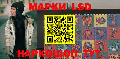 гидропоника Гатчина