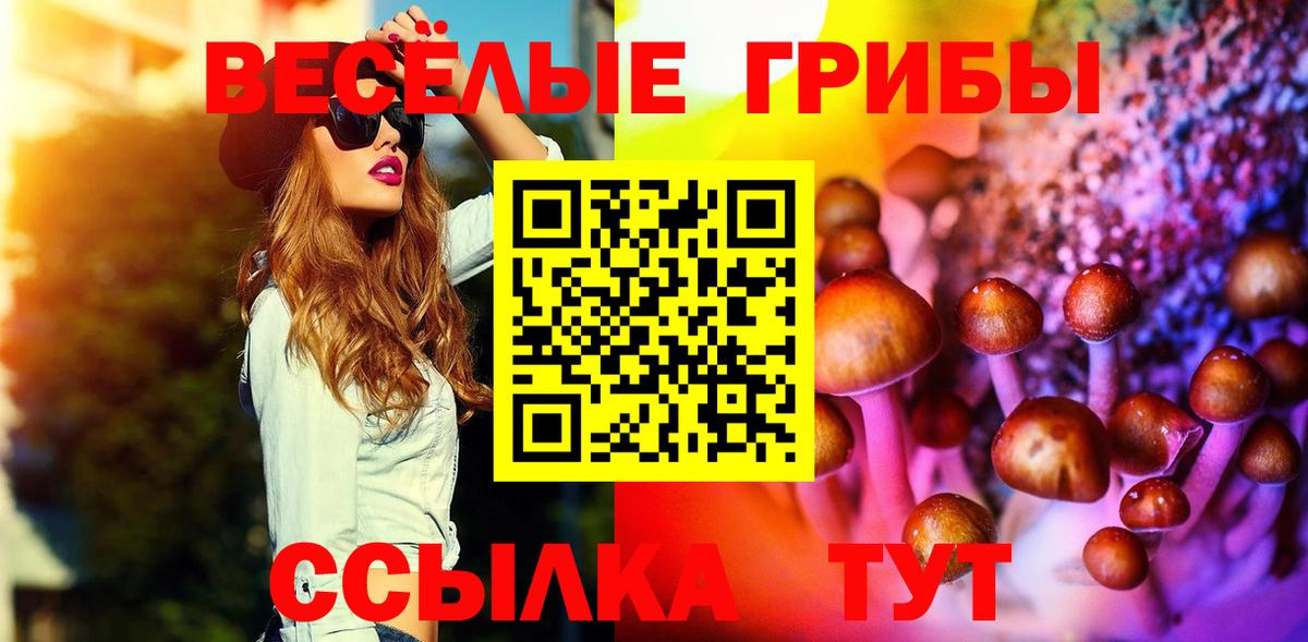 Галлюциногенные грибы Cubensis  Вход с VPN  Нерюнгри 