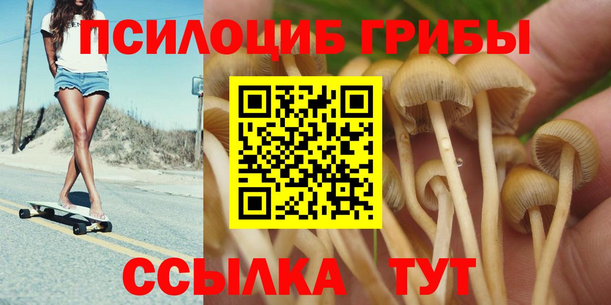 Псилоцибиновые грибы прущие грибы Нерюнгри